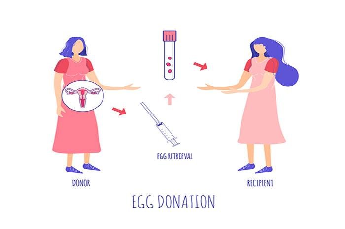 Everything about IVF with Donor Egg