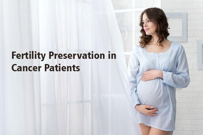 Fertility Preservation in Cancer Patients