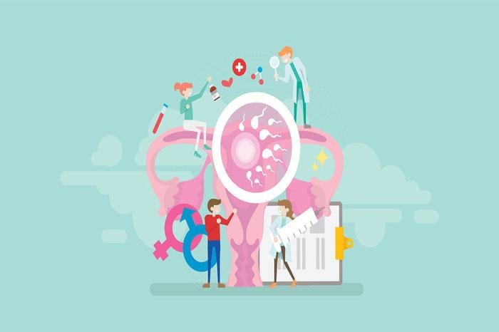 Things To Keep In Mind Before You Opt For IVF