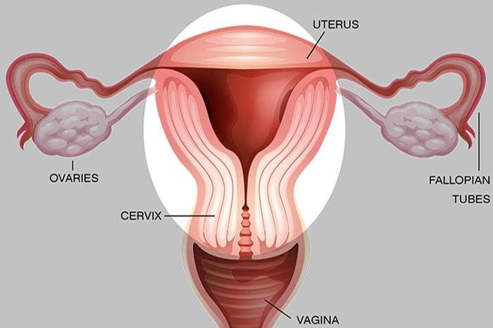Reasons Why To Have Vaginal Hysterectomy Recovery