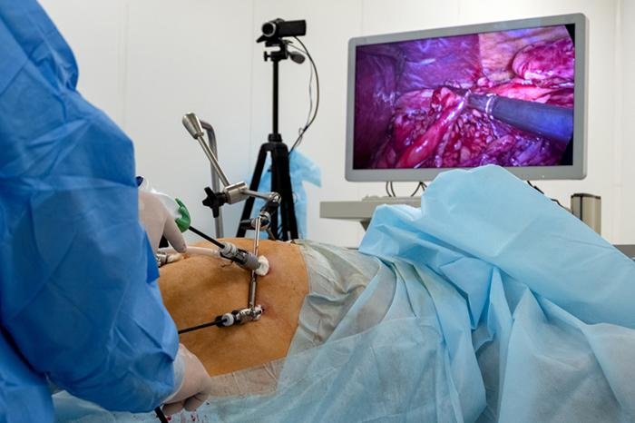 Laparoscopic Surgeon in Harda