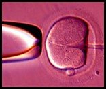 Best Test Tube Baby Center in Indore